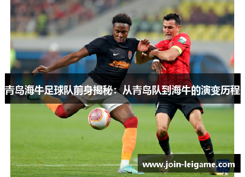 青岛海牛足球队前身揭秘:从青岛队到海牛的演变历程 青岛海牛足球队前身揭秘:从青岛队到海牛的演变历程